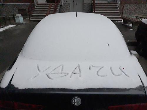 Российский союз автостраховщиков опроверг утечку данных автовладельцев из баз