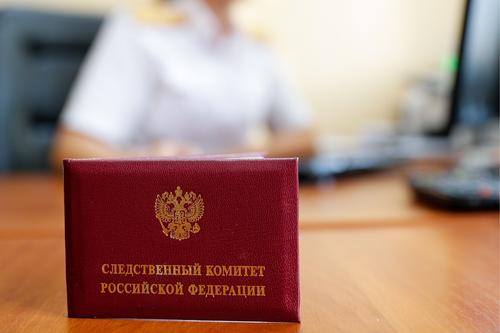 В Москве задержан проректор МГУ Алексей Гришин. Опубликовано видео из его шикарного особняка