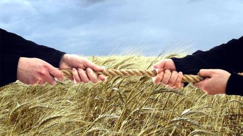 Российская наука: кто тут временные? Слазь