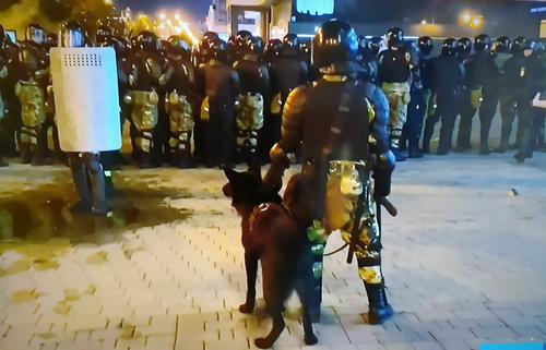 В Польше предложили ввести санкции против России за протесты в Белоруссии