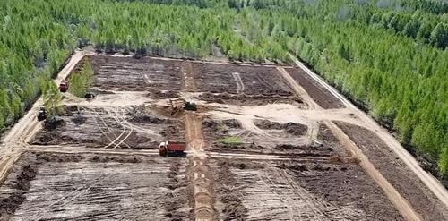 В Хабаровском крае эксгумировали полторы сотни могил