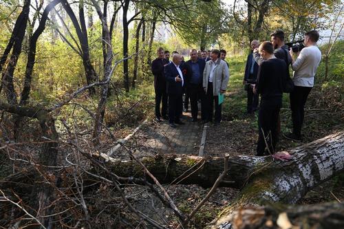 Мэра Хабаровска вызвали в суд из-за застройки в парке