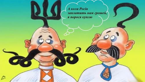 Украина растерялась: