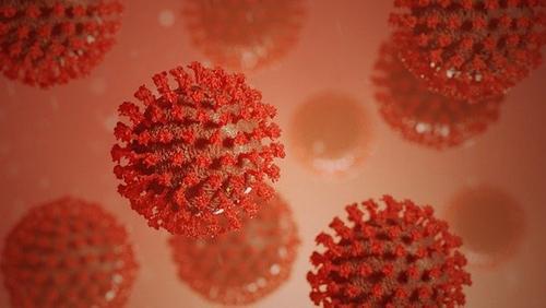 Количество случаев заражения коронавирусом в США превысило 13 миллионов