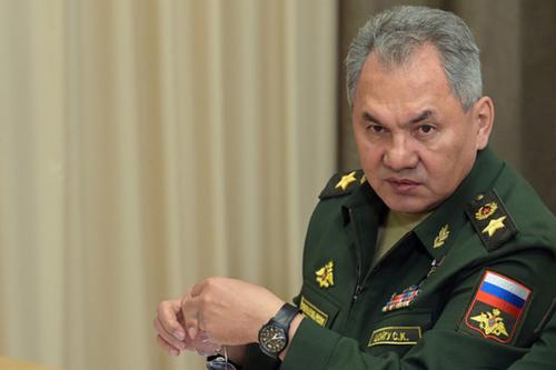 Шойгу назвал заявления министра обороны ФРГ нападками школьницы
