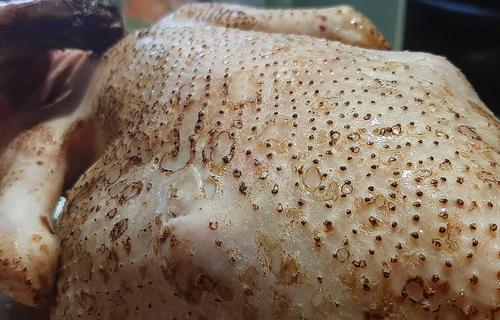 В Сингапуре вырастили в лаборатории куриное мясо