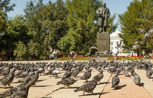 В интернете объявлена странная мобилизация на «защиту Путина»