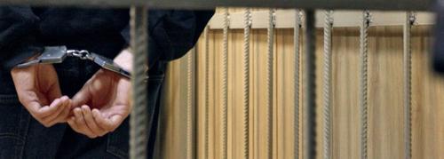 МВД: Подозреваемый в убийстве семьи на даче под Волоколамском задержан