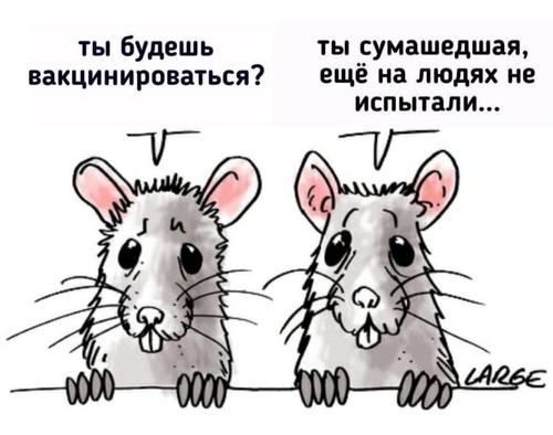 Все беременны или просто не могут не пить? Почему россияне не желают вакцинироваться от COVID-19