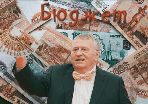 ЛДПР на 85% содержится за счет налогов россиян