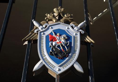 СК и ВС РФ оценили проект о лишении свободы за вовлечение подростков в митинги