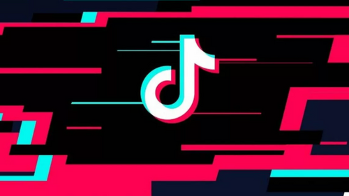 Хабаровскую полицейскую уволили за гримасы в TikTok