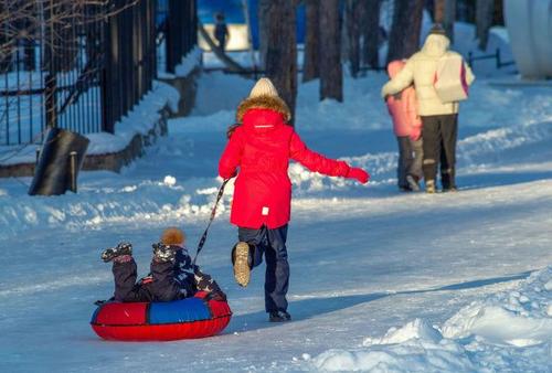 В Челябинской области пересмотрят статус многодетных семей