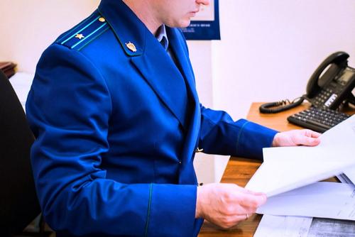 После размещения в соцсетях видео драки двух школьниц прокуратура проверяет школу-интернат в Омске