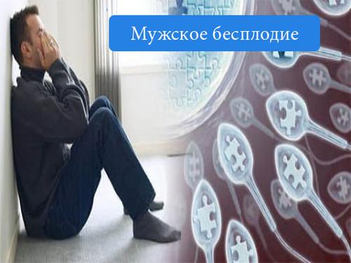 У мужчин, в отличие от женщин, нет своего врача