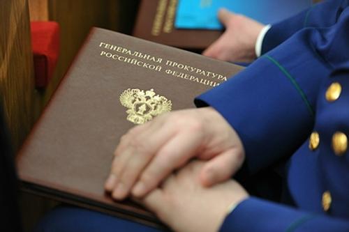Замгенпрокурора просят взять дело Лисицыной на личный контроль
