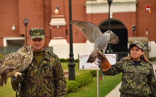 Соколы и ястребы останутся охранять Кремль и Белый дом от голубей и ворон