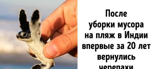 8 вдохновляющих побед, которые люди одержали в борьбе за чистоту планеты