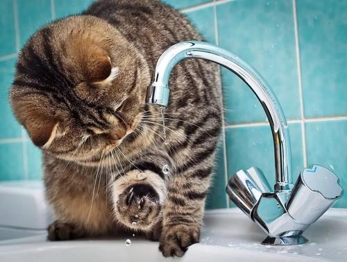 На западе США возможен сбой водоснабжения из-за усиления таяния снегов