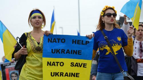 У 1148 жителей Украины спросили, хотят ли они членства страны в НАТО