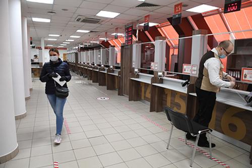 Еще пять социальных госуслуг полностью перейдут в электронный вид