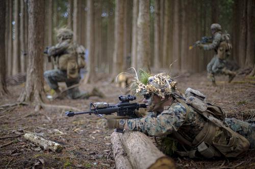 Бывший подполковник армии США Дэвис предрек возможную войну между Америкой и Россией в случае вступления Украины в НАТО