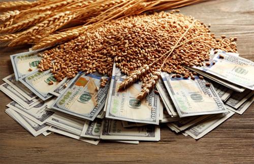 Продовольственная «нефть»
