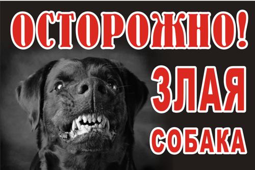 Куда и как жаловаться по поводу бродячих животных, собак без намордников, как получить компенсацию за укус