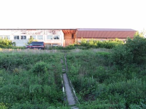 В Пензенской области 17-летний подросток убил девушку