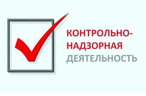 В России создаётся единая система контрольно-надзорной деятельности
