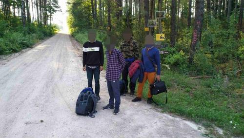 Представитель Службы охраны госграницы Литвы Мишутис: Если нелегалы раньше переходили границу ночью, то теперь круглые сутки