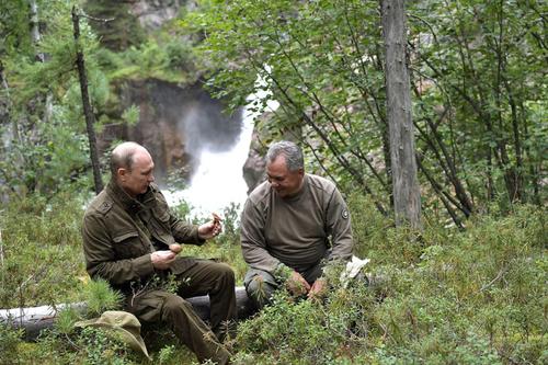 Телеведущий Новоженов: если Путину и Шойгу будут мешать комары, то в тайге осушат болота