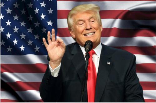 В США готовится книга о последних днях правления Трампа