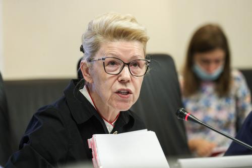 Сенатор Мизулина разъяснила, какие предлагаются поправки в Семейный кодекс