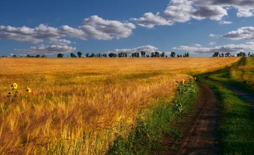 Разбазаривание Родины, или Нужно ли отдавать русскую землю в аренду
