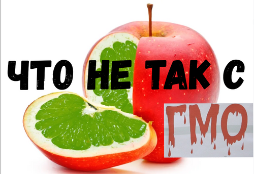 Что не так с ГМО