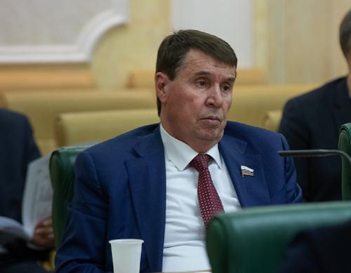 Сенатор Цеков заявил, что словами о ракетной атаке на Москву Арестович хочет доказать свою лояльность украинской аудитории