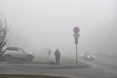 В Москве уровень вредных веществ в воздухе увеличился почти в два раза 
