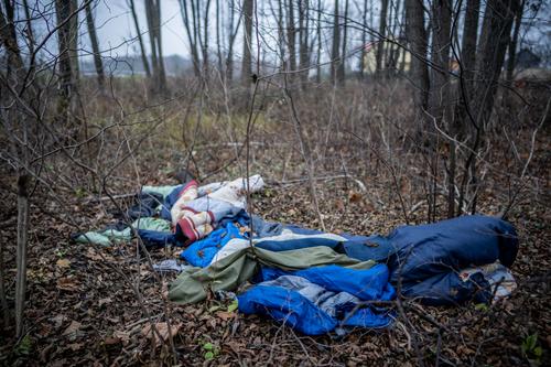 Польская полиция обнаружила тело сирийца у границы с Белоруссией