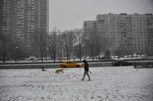 Метеоролог Тишковец предупредил о высоком атмосферном давлении и морозной погоде в Москве 