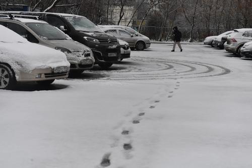 Тишковец предупредил москвичей о «январских морозах» в конце ноября