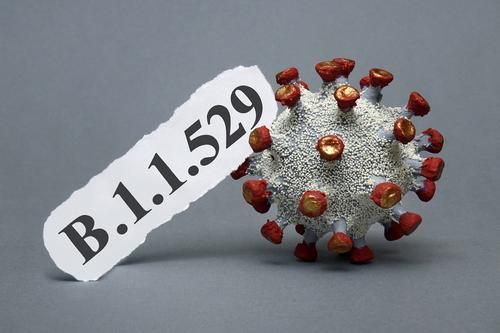 ВОЗ выдвинула гипотезу происхождения нового штамма коронавируса «омикрон»