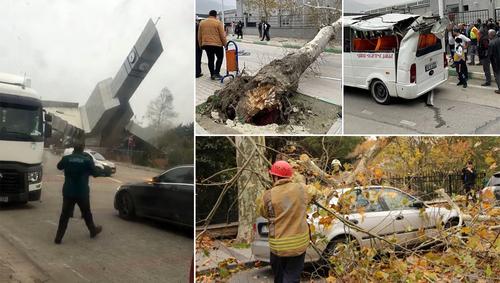 В Турции в Стамбуле во время урагана погибли два человека