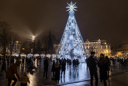 В Вильнюсе установили «самую невероятную» елку в Европе