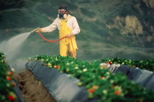 3 декабря - день борьбы с пестицидами