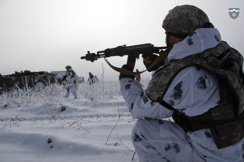 Daily Mail высмеяла «фанерную» украинскую армию