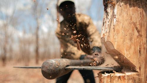 Патрули в Хабаровском крае выявили 11 мест незаконных рубок деревьев