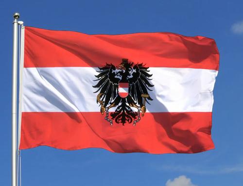 В Австрии может начаться серьёзный политический кризис из-за пандемии