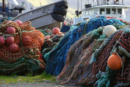 Выброшенные сети и орудия улова убивают морских обитателей