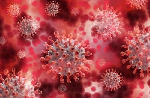 Врач Браунштейн сообщил об опасности «скрытого» омикрон-штамма коронавируса